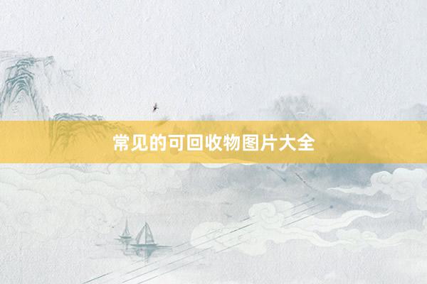 常见的可回收物图片大全