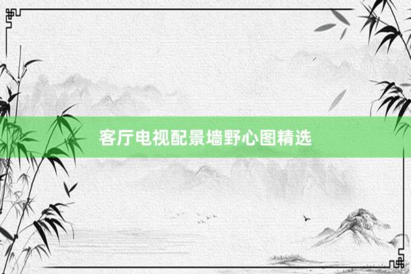 客厅电视配景墙野心图精选