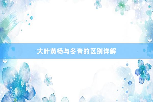 大叶黄杨与冬青的区别详解