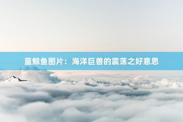 蓝鲸鱼图片：海洋巨兽的震荡之好意思